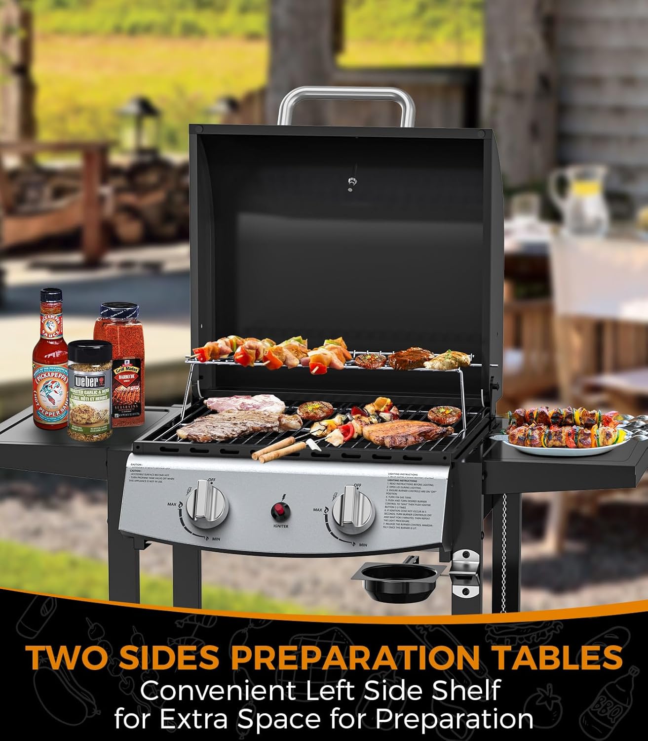 Electactic Portable 2 Burner Propane Gas Grill 2000 BUT