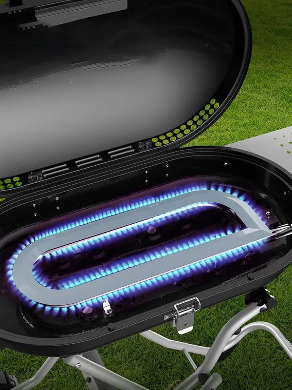 Electactic Portable Propane Gas Grill