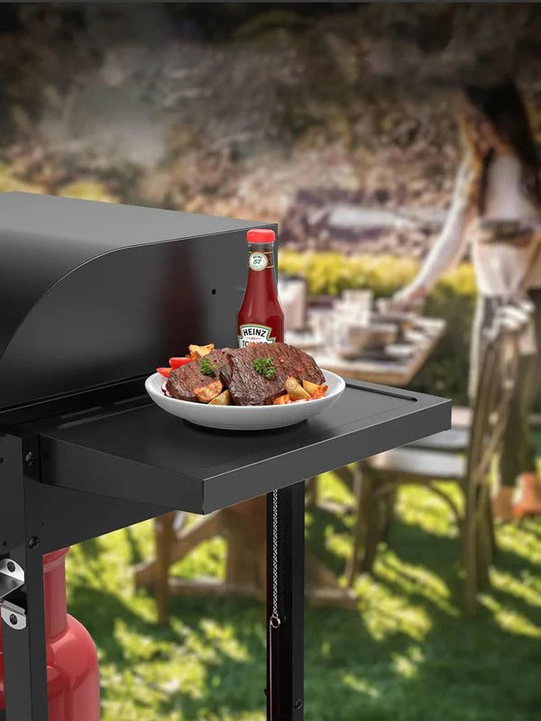 Electactic Portable 2 Burner Propane Gas Grill 2000 BUT