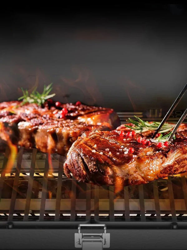 Electactic Portable Propane Gas Grill